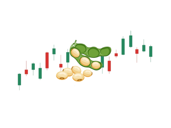 Soybean symbol in forex