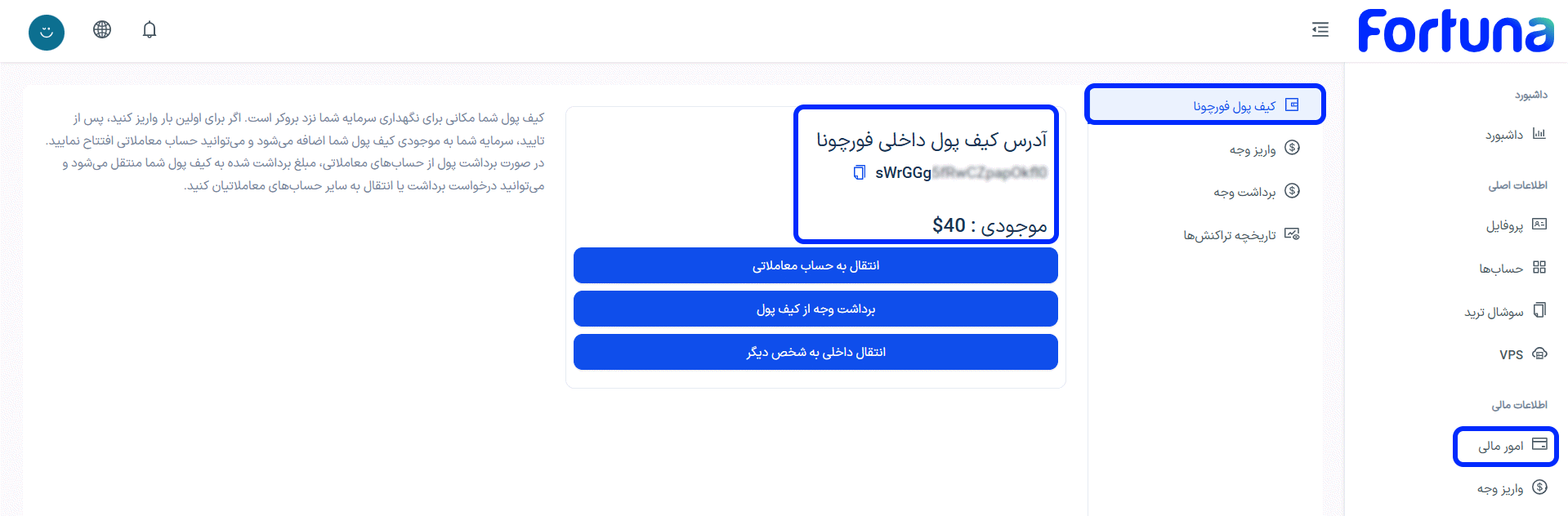 مشاهده مبلغ شارژ شده به کیف پول فورچونا با روش واریز اتوماتیک